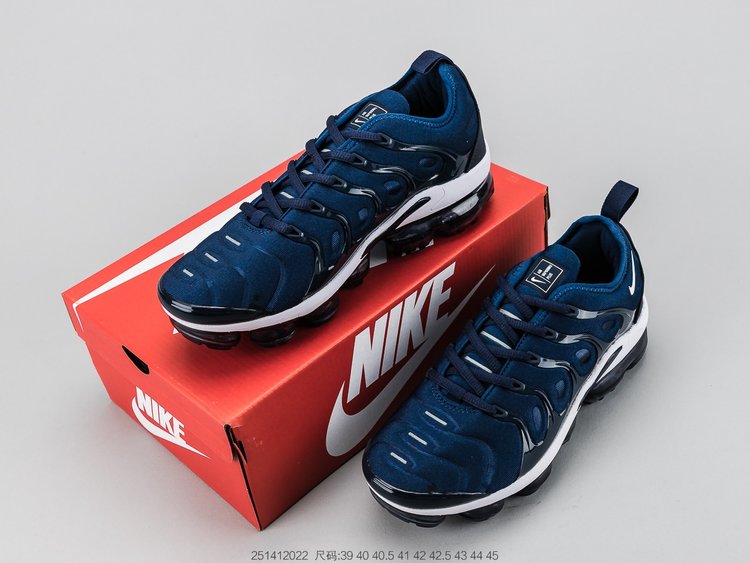 Nike air max plus TN blue and white