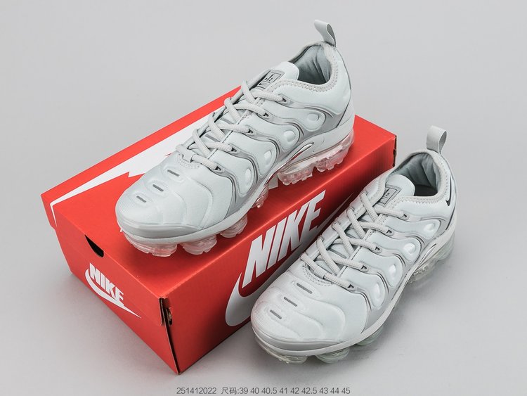 Nike air max plus TN silver